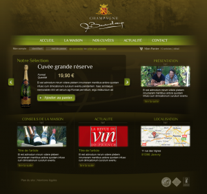 Webdesign Boutique Champagne